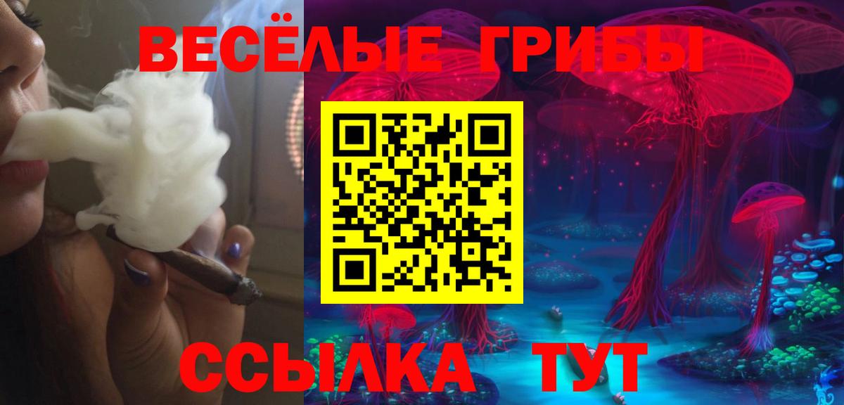 Псилоцибиновые грибы Psilocybine cubensis Строитель